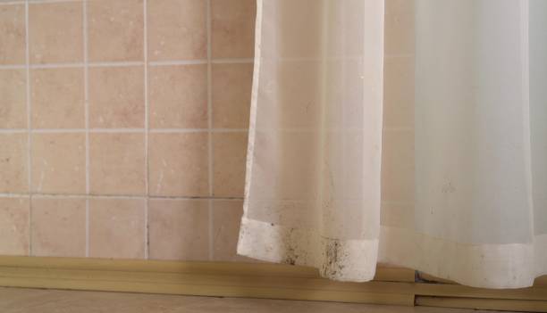 Best Air Quality Testing for Mold Spores  in South Toms River, NJ