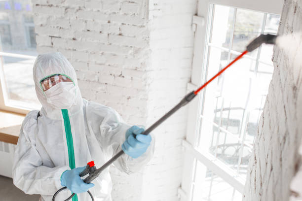 Best Airborne Mold Testing  in South Toms River, NJ
