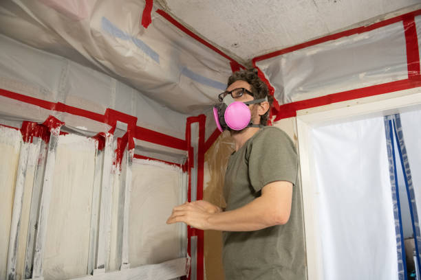 Best Residential Mold Inspection & Testing  in South Toms River, NJ