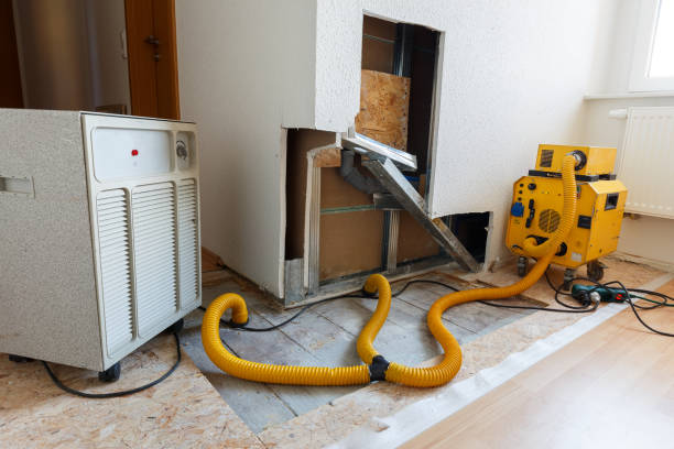 Best Biohazard Mold Removal  in South Toms River, NJ